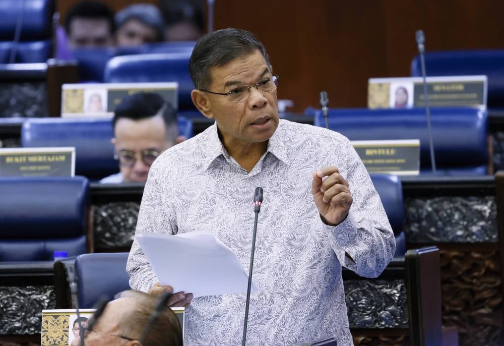 Datuk Seri Saifuddin Nasution - Bernama photo