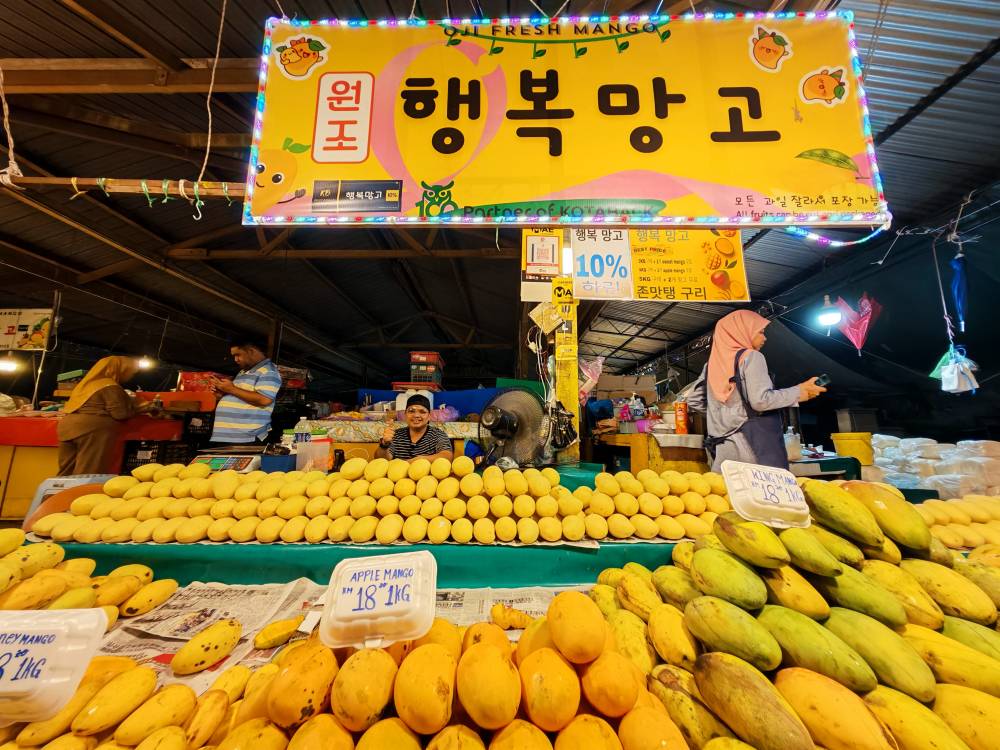 Mango trader, Fauzi Radan, 21, has learned to speak Korean on his own to attract more visitors from Korea and to make buying and selling easier. Photo by Bernama
