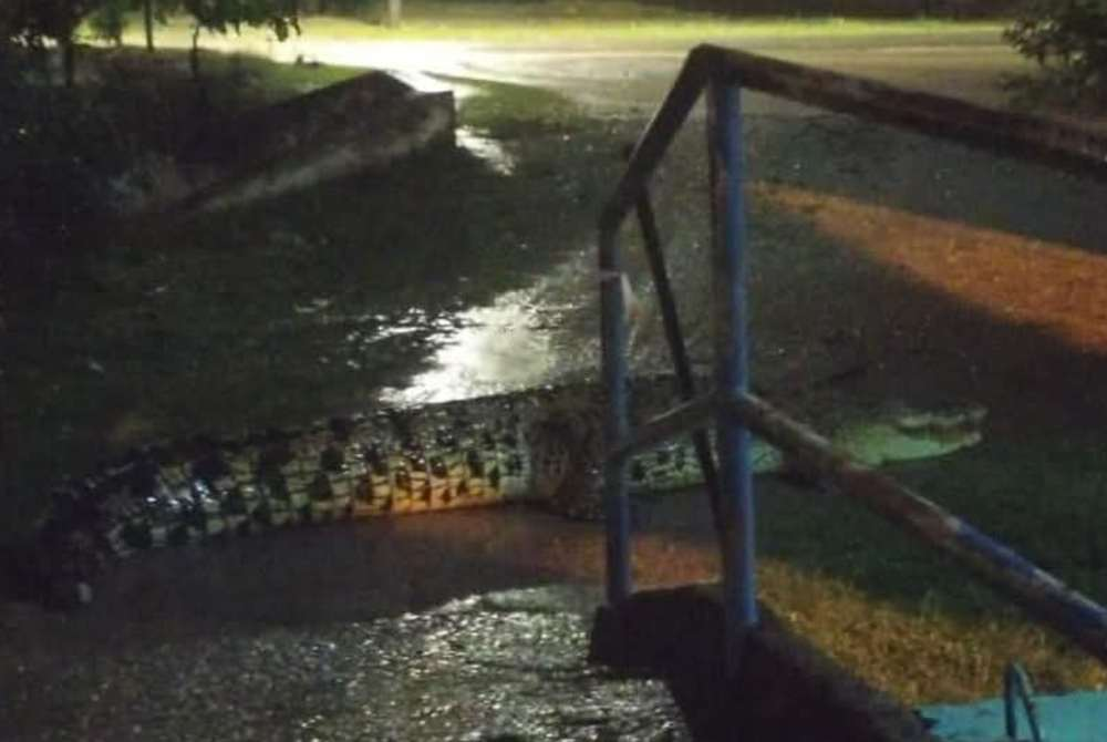 A crocodile was reported to have appeared in the Empang 25 area in Duyong on Sunday.