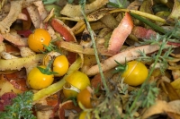 Experts said food waste should be seen as a food system governance crisis, not merely a waste management issue. 