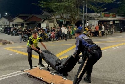 An elderly woman was killed after being hit by a sports utility vehicle (SUV) driven by a foreign man, who is suspected to have been under the influence of alcohol, while she was crossing the road at Jalan Lembah Permai, Tanjung Tokong, late last night. Photo: Social media