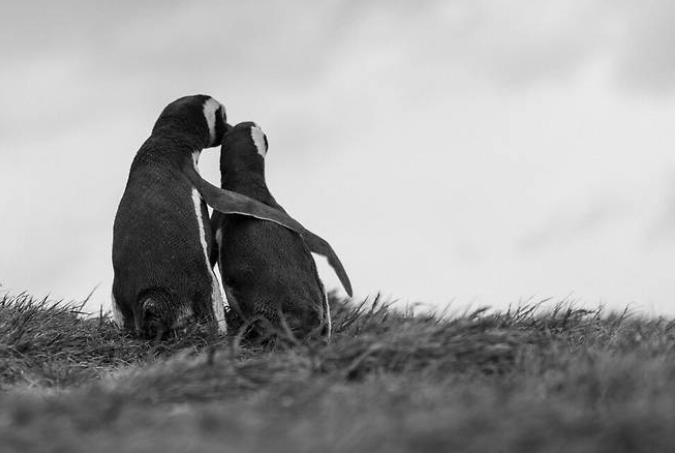 Writing on social media platform X, Lee said on Wednesday he hoped for the day that "the abnormal state of turmoil and hostility on the Korean peninsula will be overcome". Photo: X