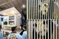 Chen Xing and Xiao Yue appeared normal and active, which indicated they had adapted well to the new environment.