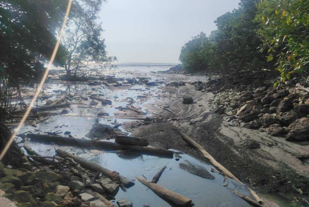 Residents claim the river water appears black and polluted due to pig farming activities.