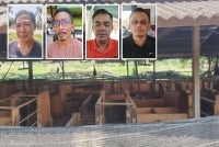 One of the pig pens believed to have been vacated. Inset from left: Zuhaize, Norasid, Hashim and Nasri.