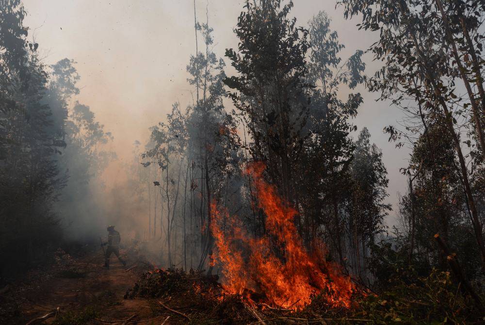 A firefighter walks near to burning vegetation in the town of Penco, following the wildfires that ravaged the area surrounding the city of Concepción, Chile, on Jan 19, 2026. - (Photo by RAUL BRAVO / AFP)
