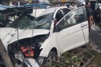A dog that suddenly crossed the road is believed to have caused an accident involving three cars, a motorcycle and a house along Jalan Permas 1, Permas Jaya, on Monday afternoon. Photo: Social media