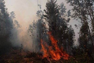 A firefighter walks near to burning vegetation in the town of Penco, following the wildfires that ravaged the area surrounding the city of Concepción, Chile, on Jan 19, 2026. - (Photo by RAUL BRAVO / AFP)