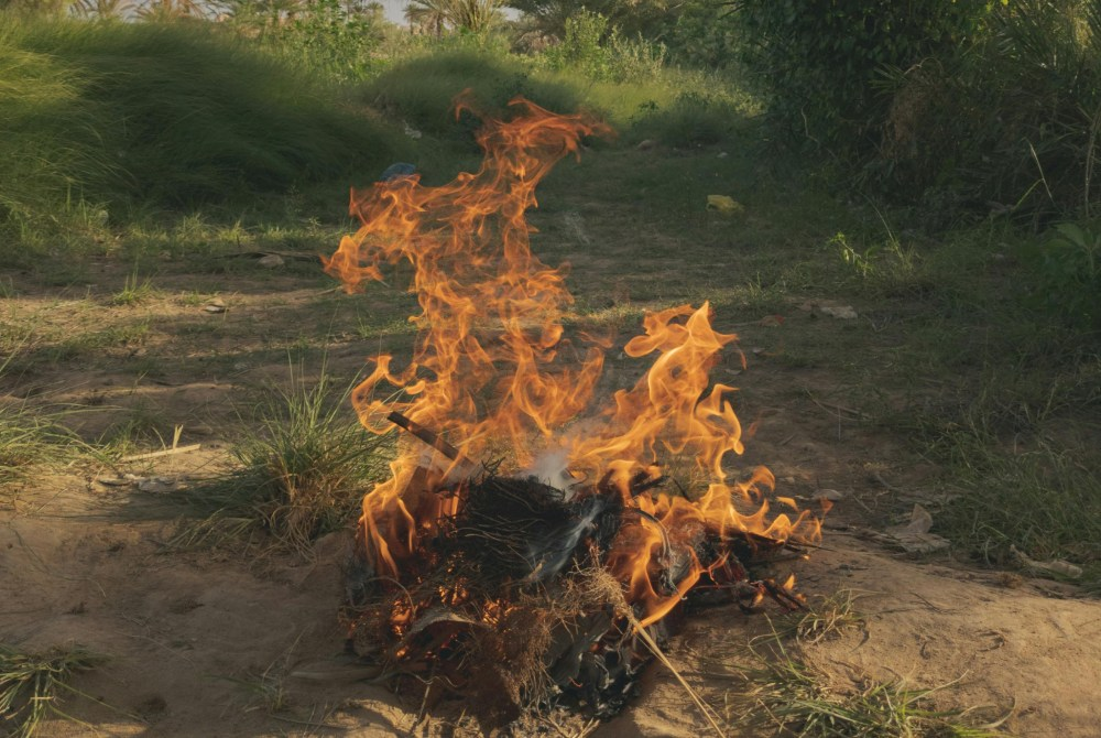 Photo for illustration purposes only.