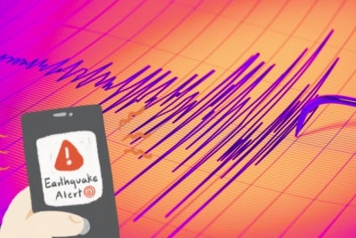 The Malaysian Meteorological Department (MetMalaysia), in a statement, said that the quake was centred at coordinates 8.3 degrees south and 111.3 degrees east, at a depth of 118 kilometres.