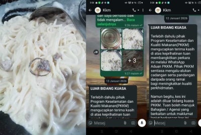 Rohaniza lodged a complaint with the Health Ministry after discovering a foreign object in the spaghetti sauce she purchased from a supermarket.
