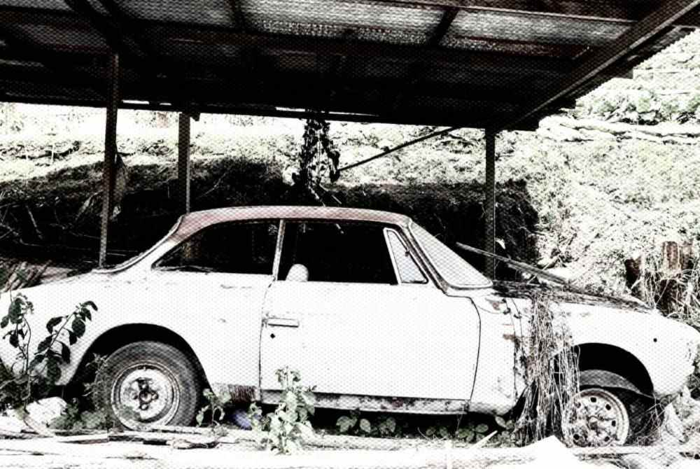 Malaysia is not yet ready to mandate the disposal of vehicles aged 20 years and above despite the government announcing expanded rebates for several local car models. - CANVA