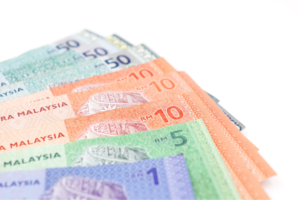 The ringgit appreciated by over 10 per cent against the US dollar in 2025 and continued its upward trend last month.