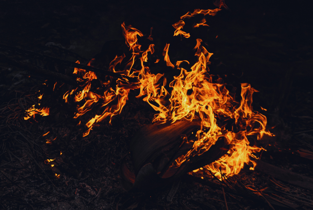 Photo for illustration purpose only.