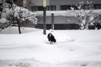 A woman walks near a snow-covered bus terminal in Aomori city, Aomori prefecture on Jan 30, 2026. - (Photo by PHILIP FONG / AFP)