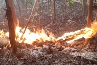 A forest fire covering an estimated 0.4 hectares at the foothills of Penang Hill along Jalan Air Itam on Sunday was successfully brought under control by the Penang Fire and Rescue Department (JBPM), with no injuries reported.