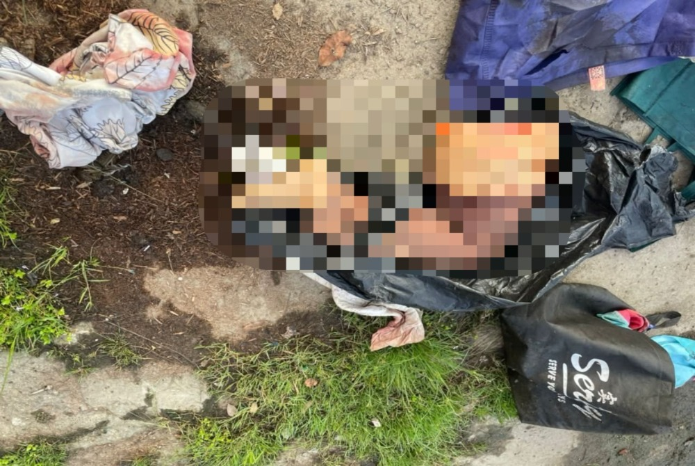 Parts of a woman’s body, believed to have been dismembered, were discovered at a rubbish disposal site in Indah Permai here this morning.