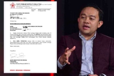 The expulsion of Datuk Seri Hamzah Zainudin from Bersatu was expected, says former Bersatu information chief Datuk Wan Saiful Wan Jan.