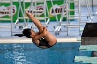 MAS will make an official announcement regarding the appointment of foreign coaches for the national diving and swimming squads once all processes are finalised. - Bernama file photo