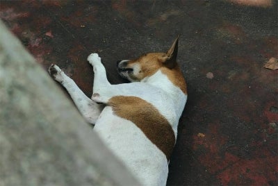 Photo for illustration purposes only.