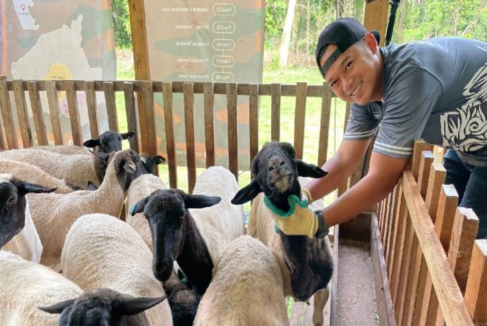 After leaving the Navy in 2024 with the rank of lieutenant, 35-year-old Mohamed Adib Abdul Razak ventured into sheep farming despite having no prior experience in the industry. - Photo by Bernama