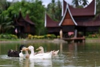 BERNAMA FILE PIX