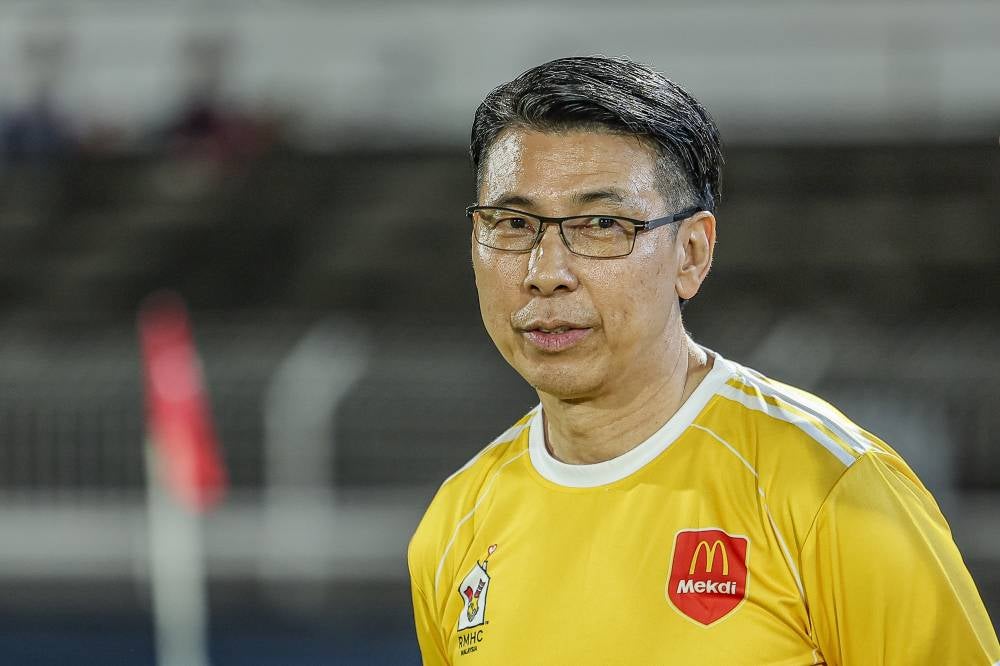 Tan Cheng Hoe. BERNAMA photo