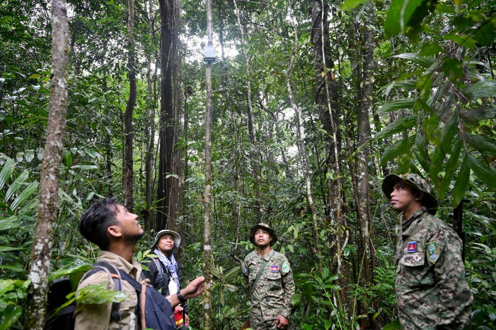 This photo taken on June 9, 2026 shows Chea Sareach (L), Biodiversity and Science Senior Coordinator of Conservation International Cambodia, rangers Nam Seanglay (R) and Hou Sophoan (C) looking at a bioacoustics device in the Cardamom National Park in Koh Kong province. - (Photo by TANG CHHIN SOTHY / AFP) 