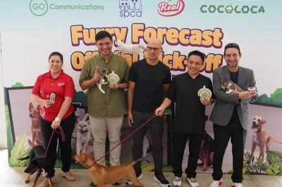 (L-R): Dr. I-lene Tan, Co-Founder and CEO, Real Food Real Good; Gerald Tan, Honorary Secretary, SPCA Selangor; Abbas Saad, International Footballer, TV Pundit; Ben Chua, General Manager, Coco Loca and Peter de Kretser, CEO, GO Communications at the launch of the "World Cup Furry Forecast Campaign" in Ampang.
