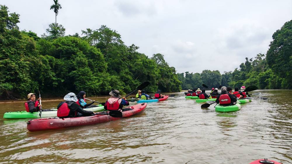 The current of Sungai Berang flows at a gentle but consistent pace, naturally carrying the kayak downstream.