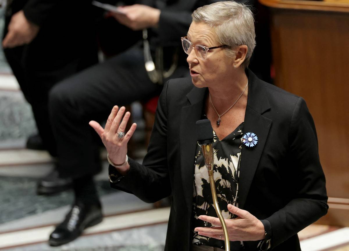 Digital Affairs Minister Anne Le Henanff (Photo by Thomas SAMSON / AFP)