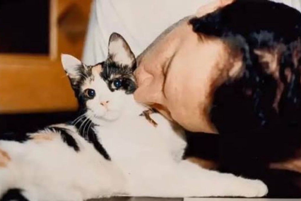 Freddy mercury and his cat Delillah. - Photo: Facebook / Freddy Mercury