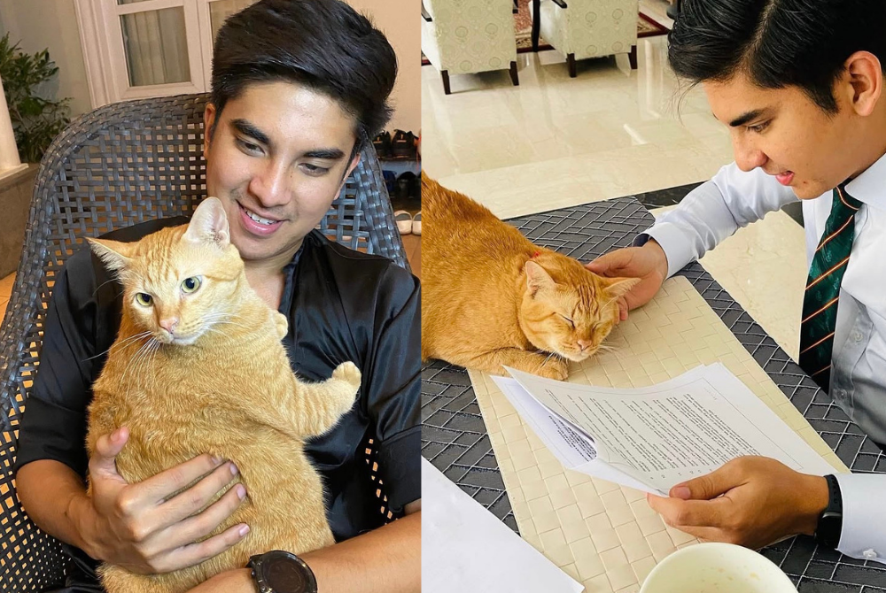 Syed Saddiq and his cat, Toby. - Photo sources: Instagram / @syedsaddiq