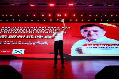 As one of the country's most recognisable political figures and the face of DAP in Negeri Sembilan, Anthony Loke's loss represents a major symbolic setback for both the party and Pakatan Harapan. Photo by Bernama