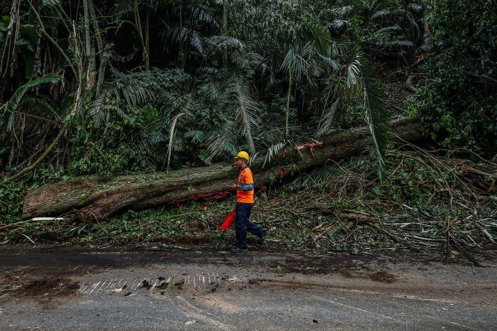 Maran Umno Youth chief Mohd Radzi Rahimi was among the four people killed after the four-wheel drive vehicle they were travelling in was crushed by a falling tree along the Kuala Lumpur-Bentong old road near Janda Baik, Bentong this afternoon. Photo by Bernama