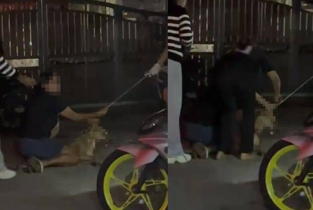 Klang mayor backs dog capture team following fatal incident