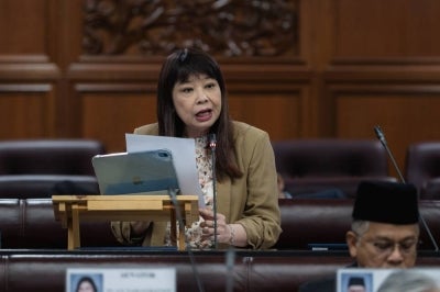 The government is studying a proposal to establish a Domestic Violence Offenders Registry to record and monitor repeat offenders, Deputy Women, Family and Community Development Minister Lim Hui Ying said. BERNAMA photo