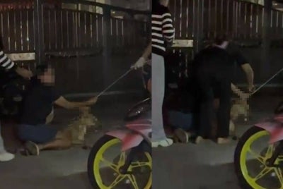 The woman claiming to be Rocky’s owner alleged the dog was fatally beaten by four members of the public before MBDK officers arrived for a stray dog operation, while acknowledging Rocky was unlicensed.