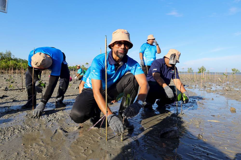 Tenaga Nasional Berhad (TNB) Senior Network Officer Ir Mahathir Nor Ismail plants a mangrove sapling during the My Brighter Green Initiative (MBGI) 2026 programme at the Tuanku Muhriz Jimah Power Station. - BERNAMA photo