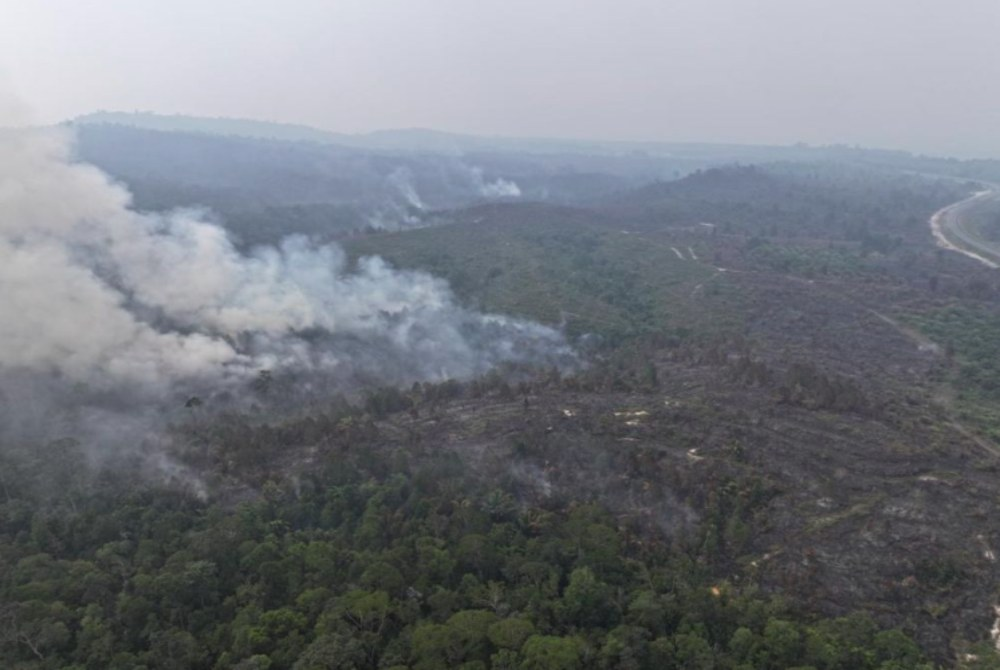 Photo: Sarawak Forestry Corporation (SFC)