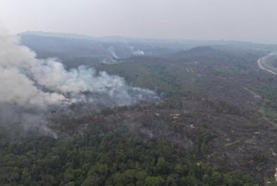 Photo: Sarawak Forestry Corporation (SFC)