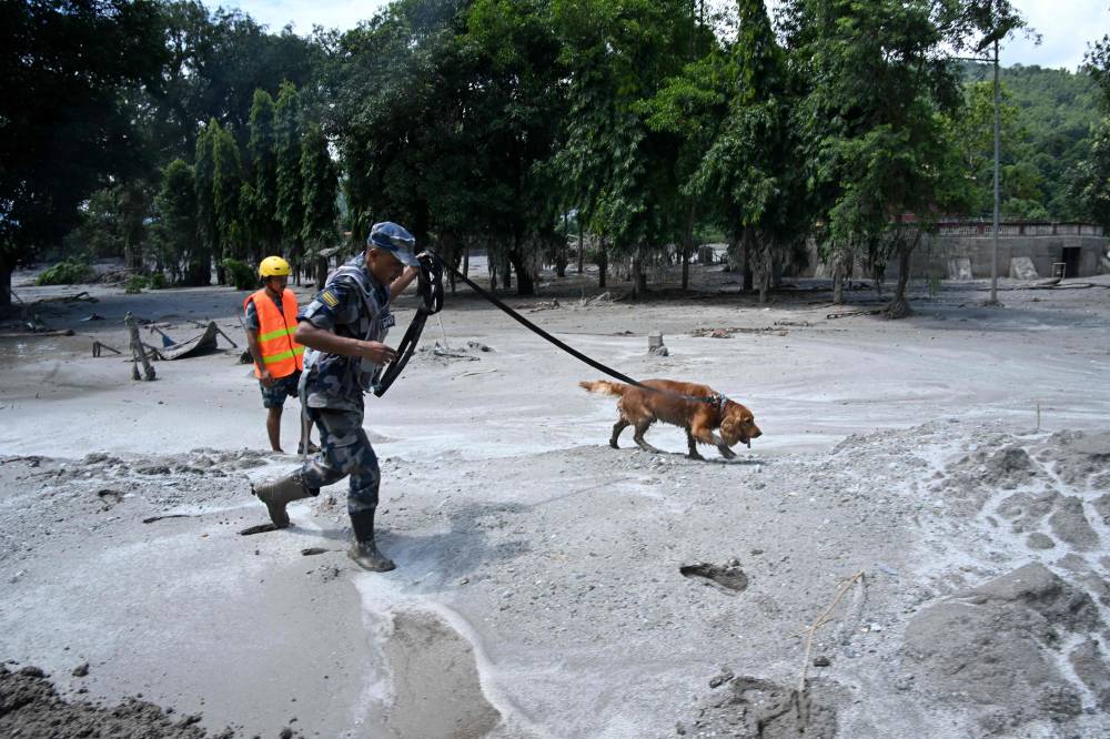 A member of the security forces and his sniffer dog search for survivors following flash floods at Trishuli in Nepal's Nuwakot district. Photo by AFP