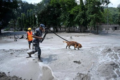 A member of the security forces and his sniffer dog search for survivors following flash floods at Trishuli in Nepal's Nuwakot district. Photo by AFP