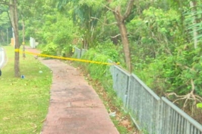 Police have confirmed the discovery of the decomposed body of a man in an overgrown area near Jalan Persiaran Balairong U8, Bukit Jelutong, here on Monday. Photo: Social media
