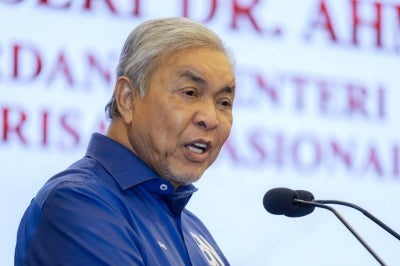 Zahid Hamidi. Photo by Bernama