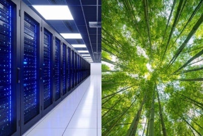 SAM urged the government to temporarily halt new data centre approvals and construction until their environmental impact, particularly on water and energy use, is fully assessed. - Photo: Edited via Canva