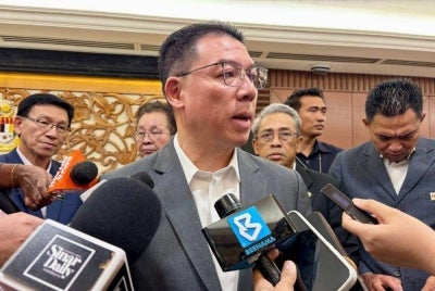 Housing and Local Government Minister Nga Kor Ming.