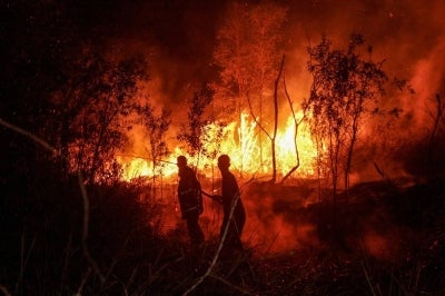 Ground operations are being prioritised over aerial operations because poor visibility has restricted water-bombing helicopter operations. (Photo by MUDA SAGALA / AFP)