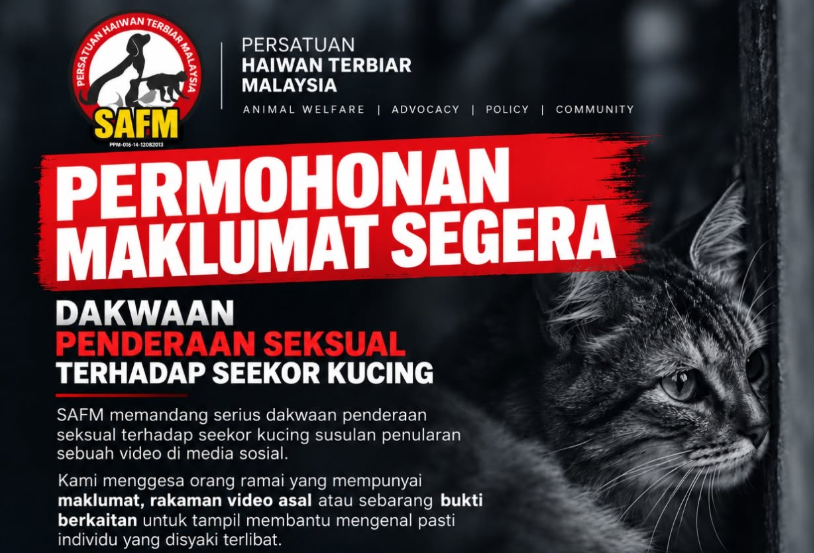 Persatuan Haiwan Terbiar Malaysia (SAFM) has called for an urgent investigation into the alleged sexual abuse of a cat following the circulation of a disturbing video reportedly shared on TikTok.
