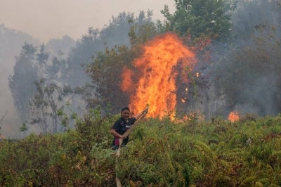 A firefighter extinguishes a fire at Sungai Tabuk village in Banjar Regency, South Kalimantan Province on October 16, 2026. (Photo by MUDA SAGALA / AFP)
